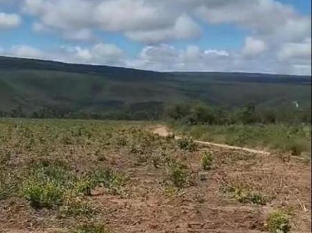 Sítio e chácara venda em Região Geográfica Imediata de Ponte Nova, Ponte Nova