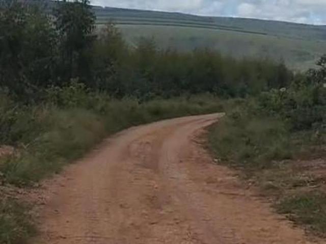 Sítio e chácara venda em Região Geográfica Imediata de Ponte Nova, Ponte Nova