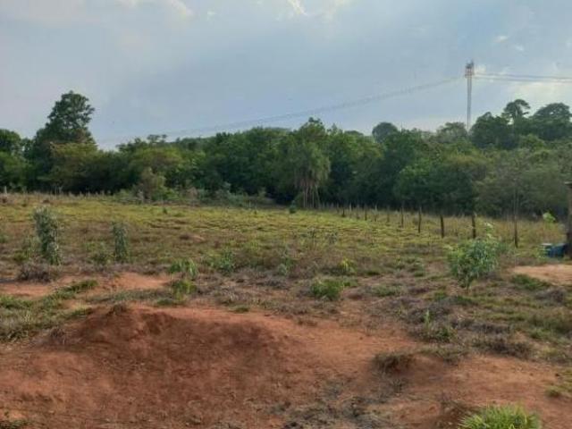 Sítio e chácara venda em Região Imediata de Fernandópolis, Pedranópolis