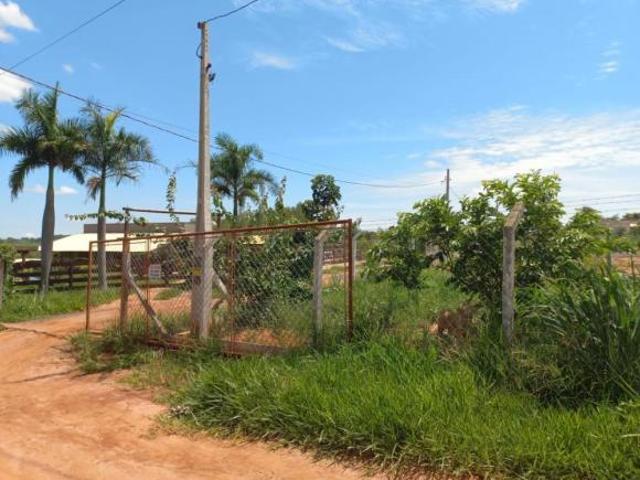 Sítio e chácara venda em Região Imediata de Fernandópolis, Pedranópolis