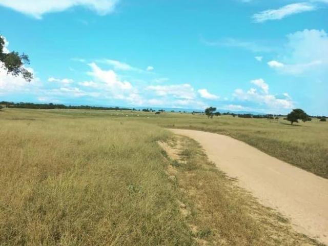 Sítio e chácara venda em Região Geográfica Imediata de Januária, Pedras de Maria da Cruz
