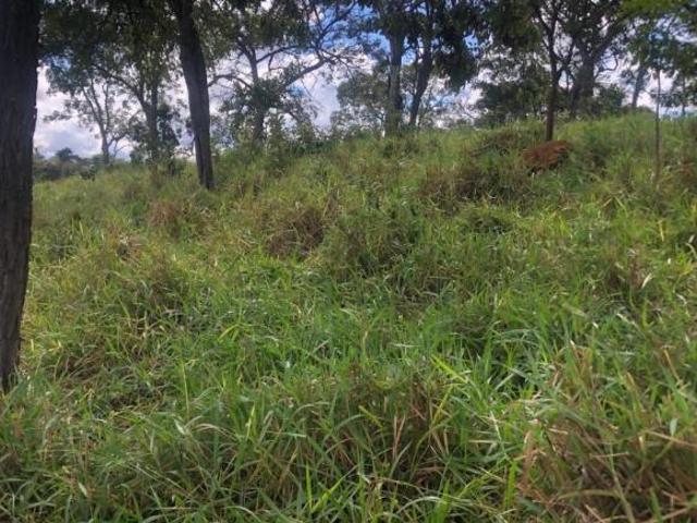 Sítio e chácara venda em Região Geográfica Imediata de Divinópolis, Pitangui