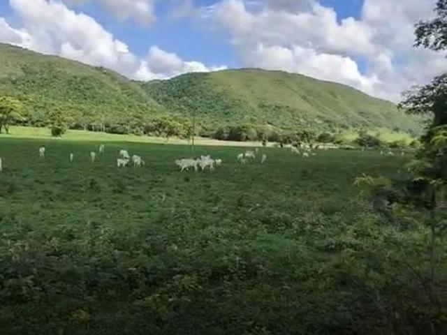 Sítio e chácara venda em Região Geográfica Imediata de Divinópolis, Pitangui