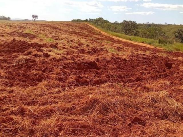 Sítio e chácara venda em Região Geográfica Imediata de Piumhi, Jerumenha