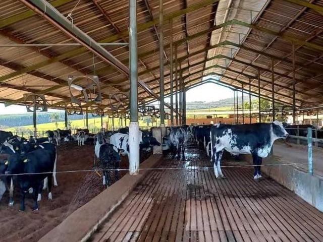 Sítio e chácara venda em Região Geográfica Imediata de Dores do Indaiá, Pompéu