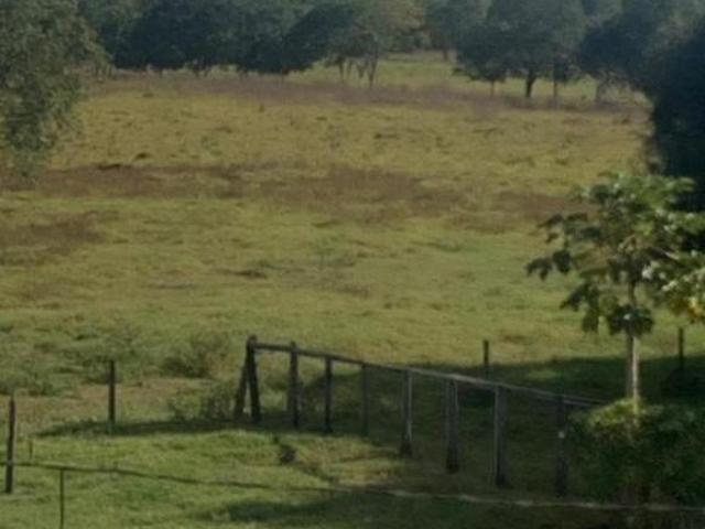 Sítio e chácara venda em Região Geográfica Imediata de Curvelo, Presidente Juscelino