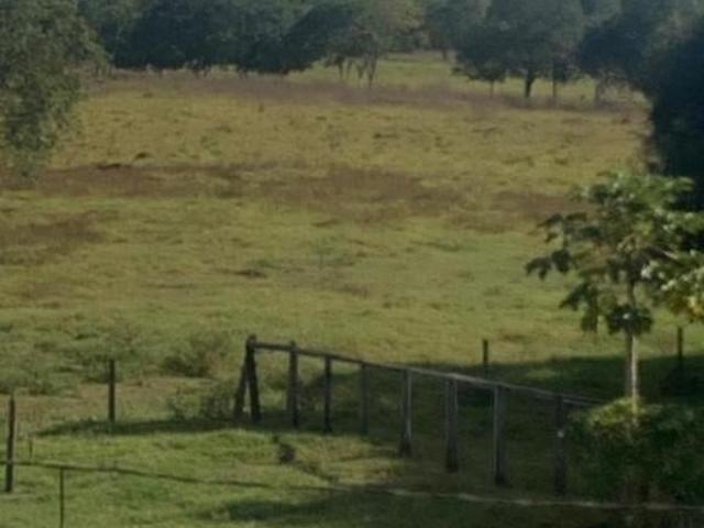 Sítio e chácara venda em Centro, Presidente Juscelino