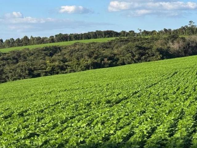 Sítio e chácara venda em Região Geográfica Imediata de São João del Rei, Resende Costa