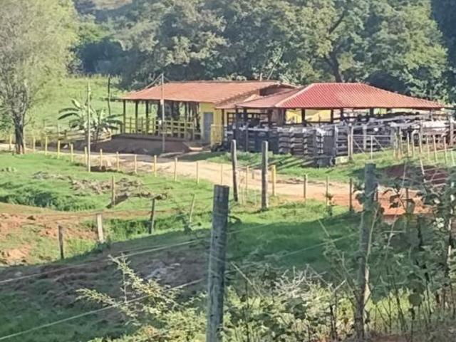 Sítio e chácara venda em Resplendor, Região Sudeste
