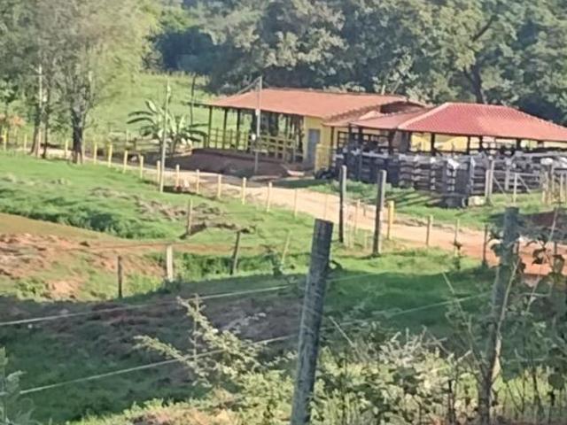 Sítio e chácara venda em Resplendor, Região Sudeste