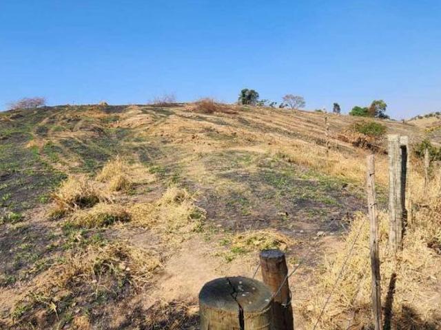Sítio e chácara venda em Região Geográfica Imediata de Oliveira, São Francisco de Paula