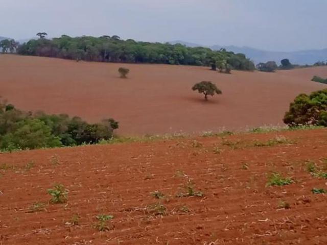 Sítio e chácara venda em Região Geográfica Imediata de Varginha, São Gonçalo do Sapucaí