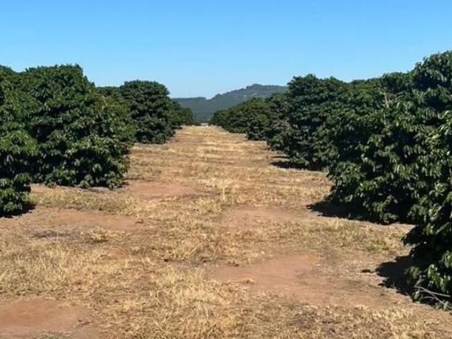 Sítio e chácara venda em Vila Dalva, São Sebastião do Paraíso
