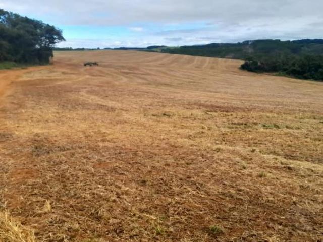 Sítio e chácara venda em Região Geográfica Imediata de São João del Rei, São Vicente de Minas