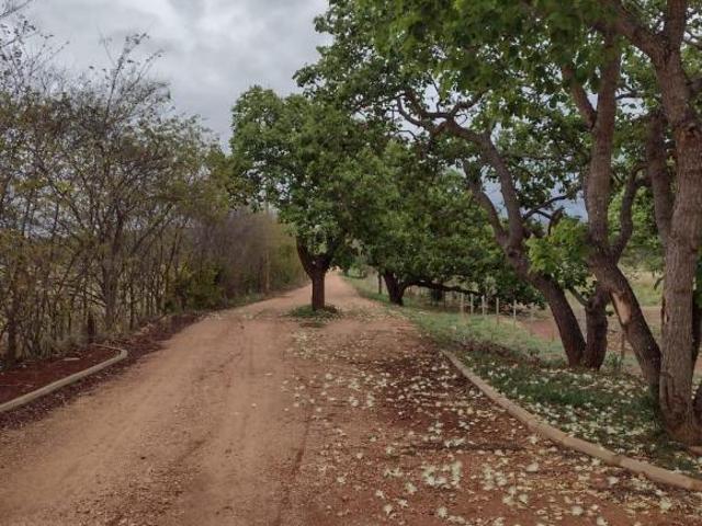 Sítio e chácara venda em Região Geográfica Imediata de Sete Lagoas, Santana do Riacho