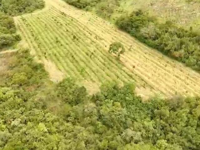 Sítio e chácara venda em Região Geográfica Imediata de Lavras, Santo Antônio do Amparo