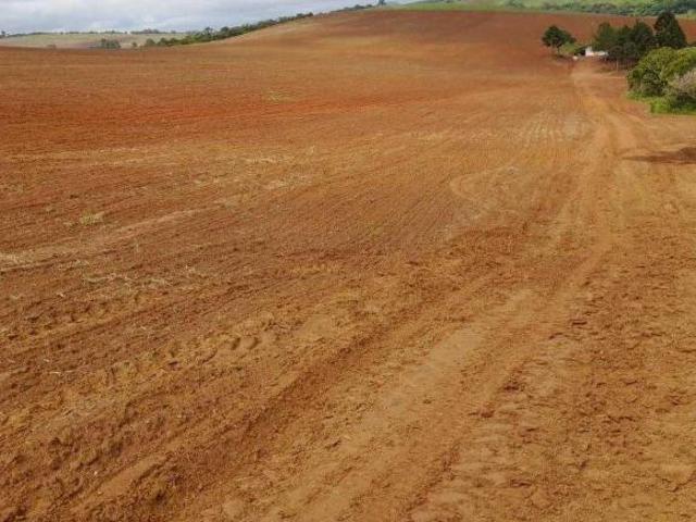 Sítio e chácara venda em Região Geográfica Imediata de Caxambu - Baependi, Seritinga