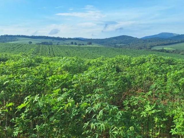 Sítio e chácara venda em Região Geográfica Imediata de Pouso Alegre, Silvianópolis