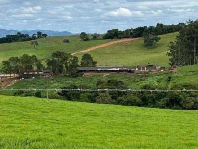 Sítio e chácara venda em Região Geográfica Imediata de Pouso Alegre, Silvianópolis