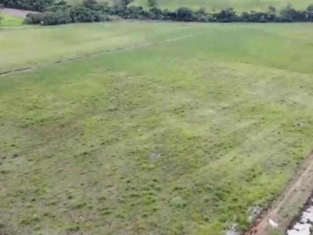 Sítio e chácara venda em Turvolândia, Região Geográfica Intermediária de Pouso Alegre