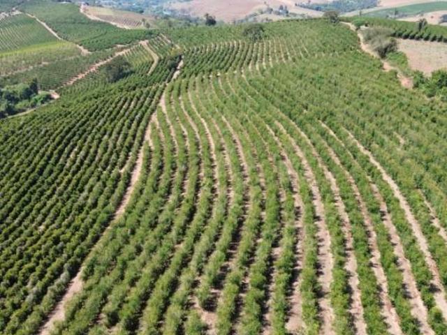 Sítio e chácara venda em Região Geográfica Imediata de Varginha, Varginha