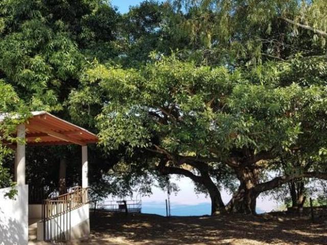 Sítio e chácara venda em Região Geográfica Imediata de Pirapora, Várzea da Palma