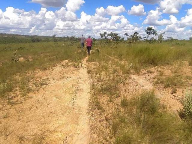Sítio e chácara venda em Região Geográfica Imediata de Unaí, Bonfinópolis de Minas