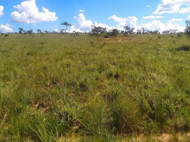 Sítio e chácara venda em Região Geográfica Imediata de Unaí, Bonfinópolis de Minas