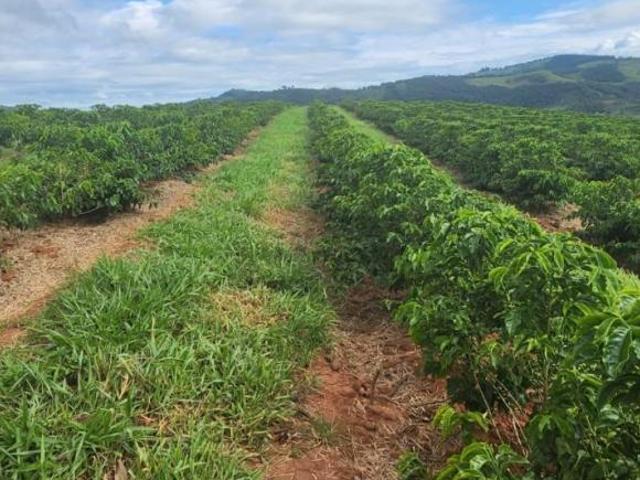 Sítio e chácara venda em Região Geográfica Imediata de Três Corações, Campanha