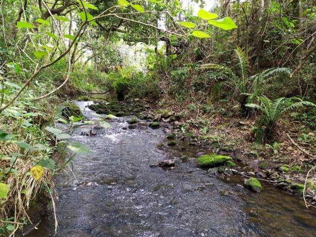 Sítio e chácara venda em Carandaí