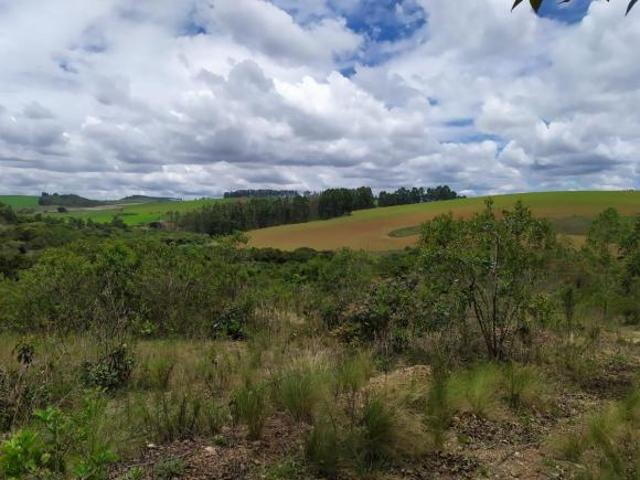 Sítio e chácara venda em Região Geográfica Imediata de Conselheiro Lafaiete, Carandaí