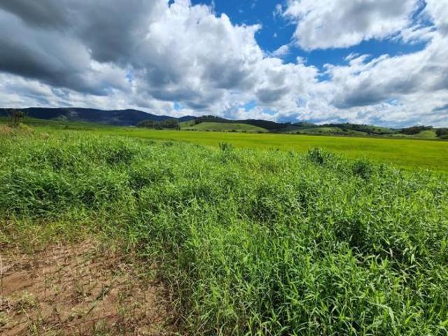 Sítio e chácara venda em Região Geográfica Imediata de Pouso Alegre, Careaçu