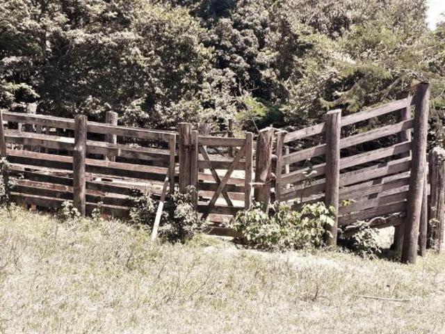 Sítio e chácara venda em Região Geográfica Imediata de Divinópolis, Carmo da Mata