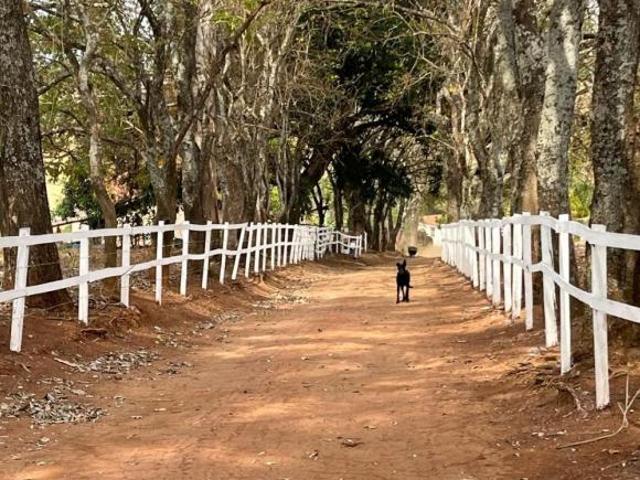 Sítio e chácara venda em Região Geográfica Imediata de Alfenas, Serrania