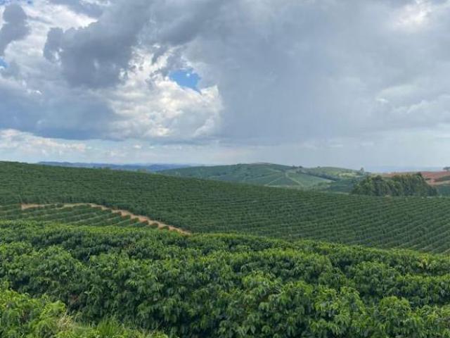 Sítio e chácara venda em Região Geográfica Imediata de Guaxupé, Guaxupé
