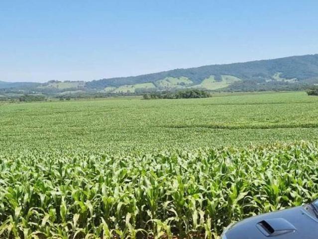 Sítio e chácara venda em Região Geográfica Imediata de Pouso Alegre, São Sebastião da Bela Vista