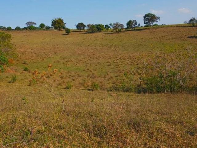 Sítio e chácara venda em Região Geográfica Imediata de Pouso Alegre, Silvianópolis