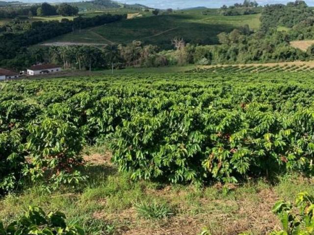 Sítio e chácara venda em Região Geográfica Imediata de Três Corações, Cambuquira