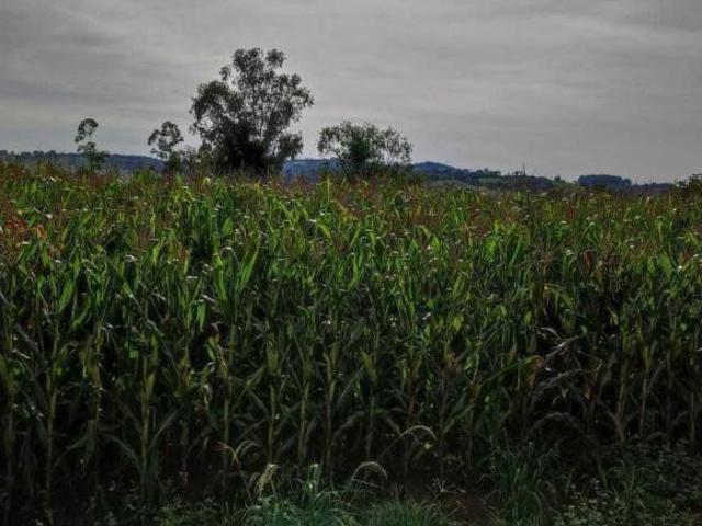 Sítio e chácara venda em Região Geográfica Imediata de Poços de Caldas, Campestre