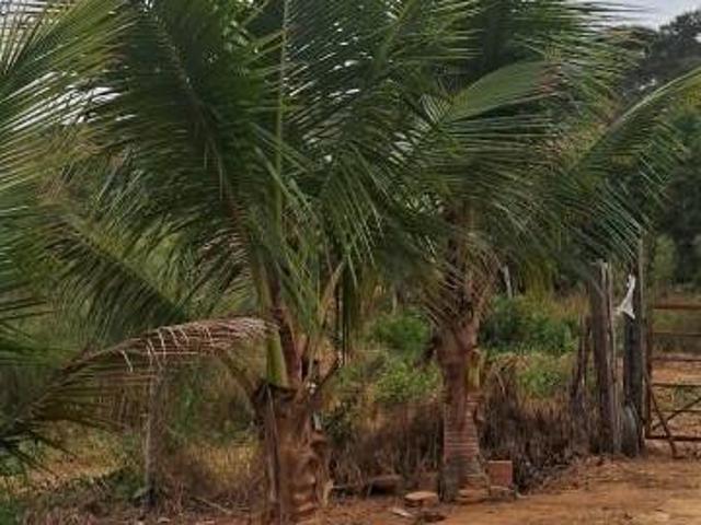Sítio e chácara venda em Região Geográfica Imediata de Manhuaçu, Caputira
