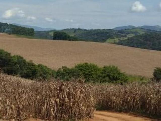 Sítio e chácara venda em Região Geográfica Imediata de São Lourenço, Carmo de Minas