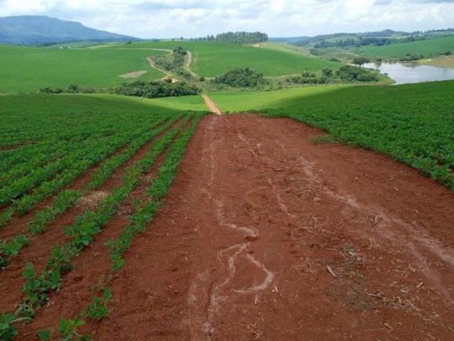 Sítio e chácara venda em Região Geográfica Imediata de Caxambu - Baependi, Cruzília