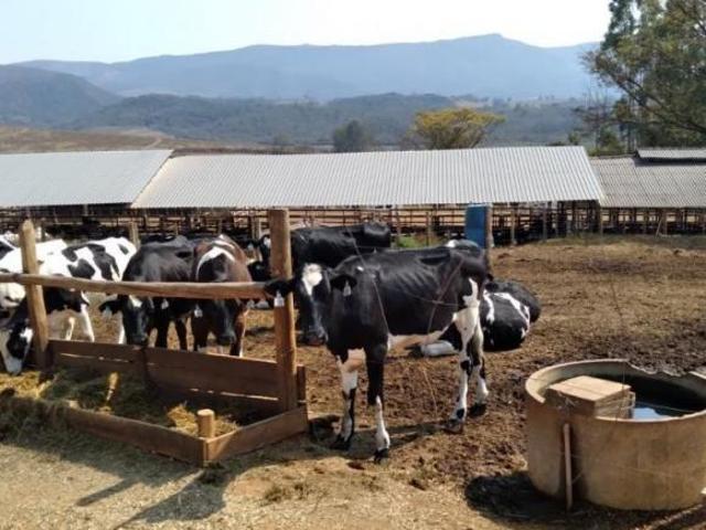 Sítio e chácara venda em Região Geográfica Imediata de Caxambu - Baependi, Cruzília