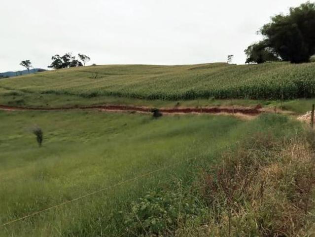 Sítio e chácara venda em Região Geográfica Imediata de São Lourenço, Dom Viçoso