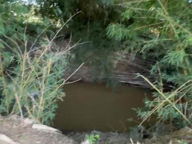 Sítio e chácara venda em Região Geográfica Imediata de Belo Horizonte, Região Metropolitana de Belo Horizonte