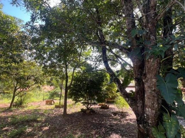 Sítio e chácara venda em Região Geográfica Imediata de Belo Horizonte, Região Metropolitana de Belo Horizonte
