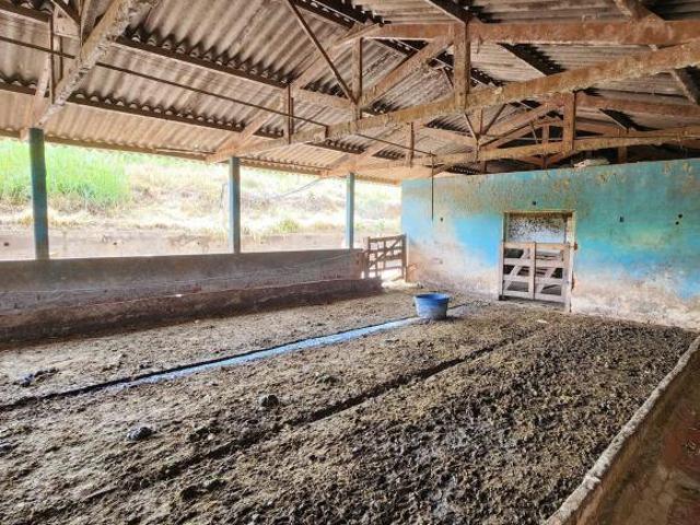 Sítio e chácara venda em Região Geográfica Imediata de São Lourenço, Jesuânia