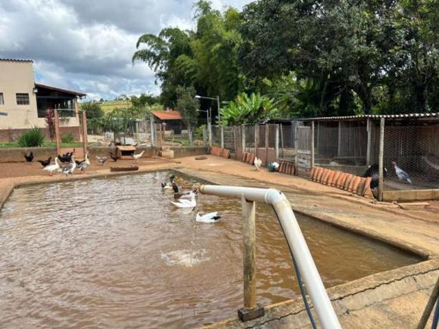 Sítio e chácara venda em Lavras, Região Geográfica Intermediária de Varginha