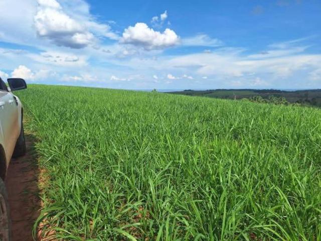 Sítio e chácara venda em Região Geográfica Imediata de Abaeté, Morada Nova de Minas