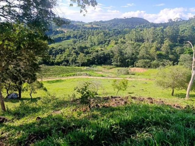 Sítio e chácara venda em Nepomuceno, Região Geográfica Intermediária de Varginha